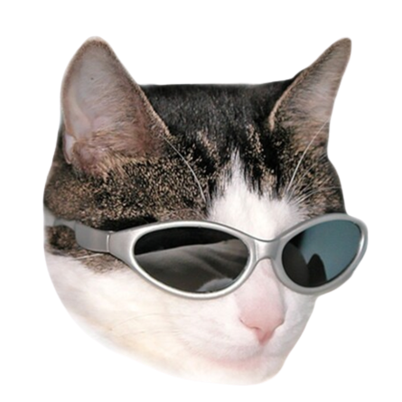 정우준